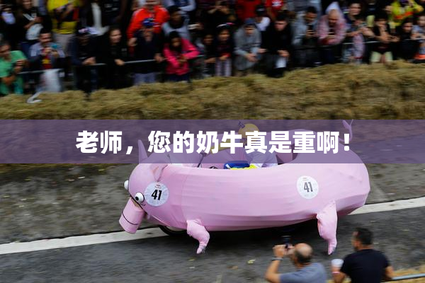 老师，您的奶牛真是重啊！