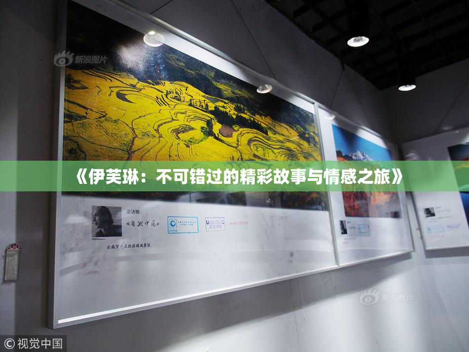 《伊芙琳：不可错过的精彩故事与情感之旅》