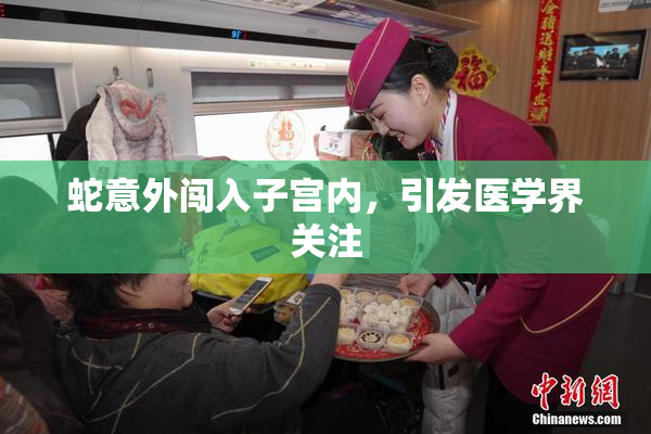 蛇意外闯入子宫内，引发医学界关注