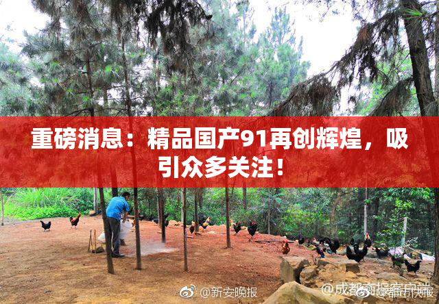 重磅消息：精品国产91再创辉煌，吸引众多关注！