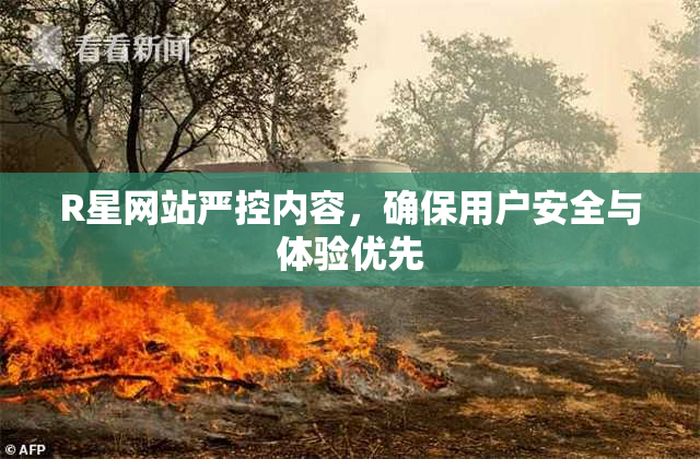 R星网站严控内容，确保用户安全与体验优先