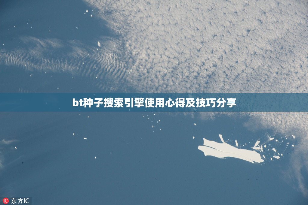 bt种子搜索引擎使用心得及技巧分享