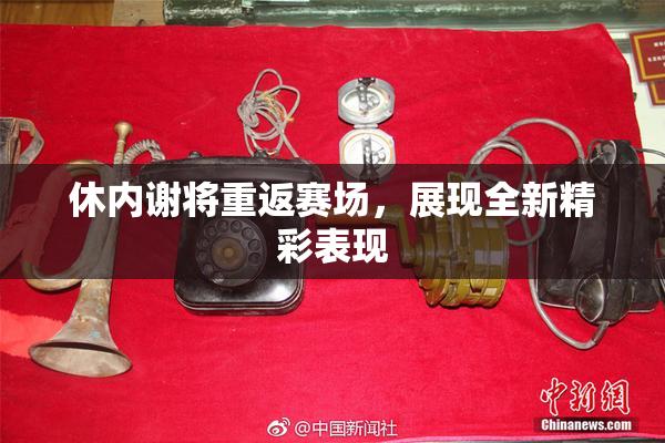 休内谢将重返赛场，展现全新精彩表现
