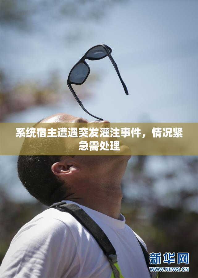 系统宿主遭遇突发灌注事件，情况紧急需处理
