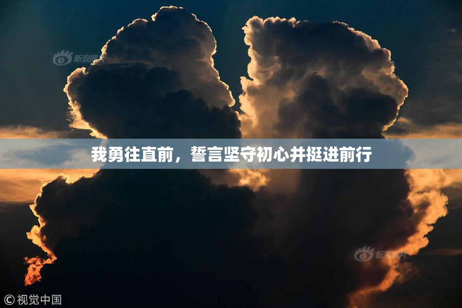 我勇往直前，誓言坚守初心并挺进前行