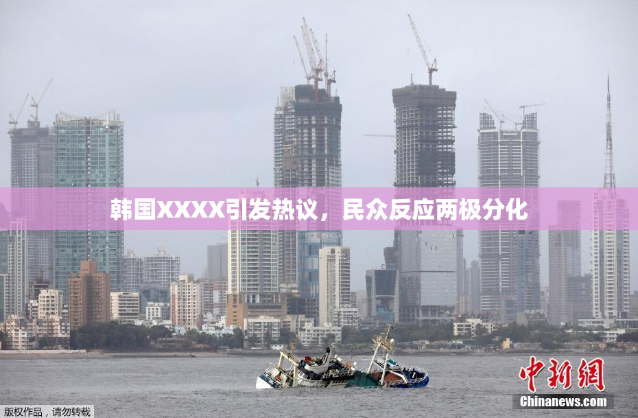 韩国XXXX引发热议，民众反应两极分化