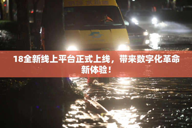 18全新线上平台正式上线，带来数字化革命新体验！