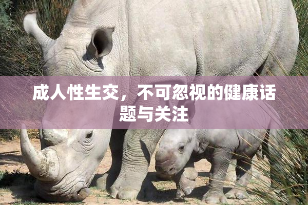 成人性生交，不可忽视的健康话题与关注