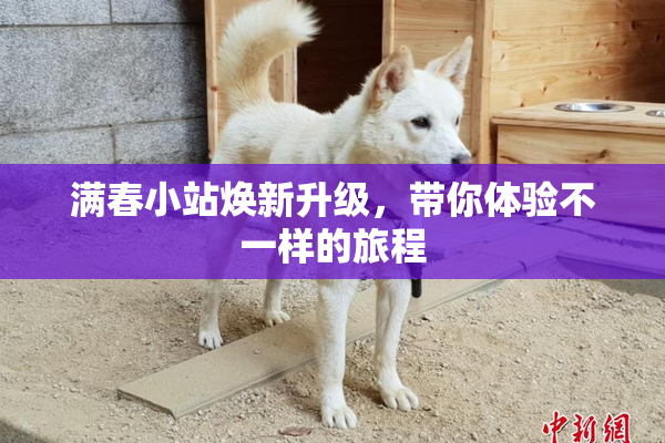 满春小站焕新升级，带你体验不一样的旅程
