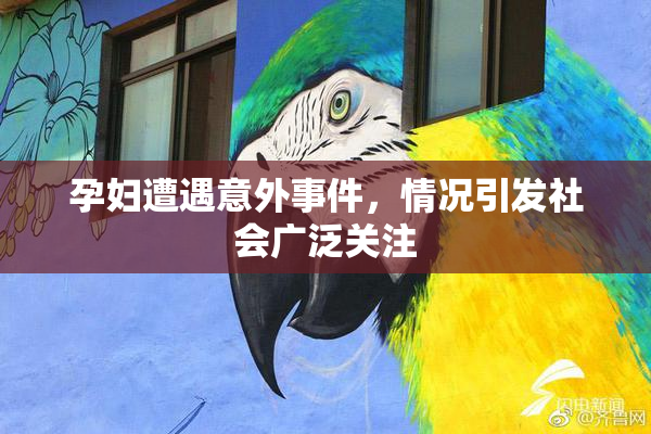 孕妇遭遇意外事件，情况引发社会广泛关注