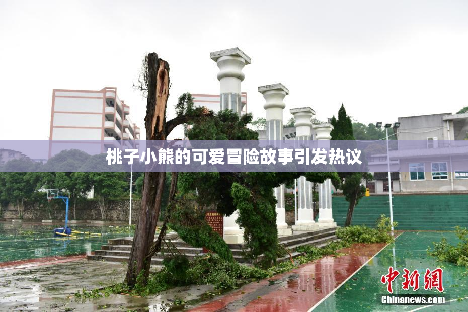桃子小熊的可爱冒险故事引发热议
