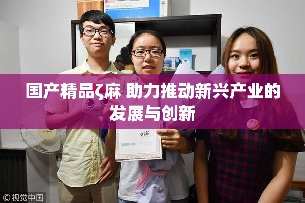 国产精品ζ麻 助力推动新兴产业的发展与创新