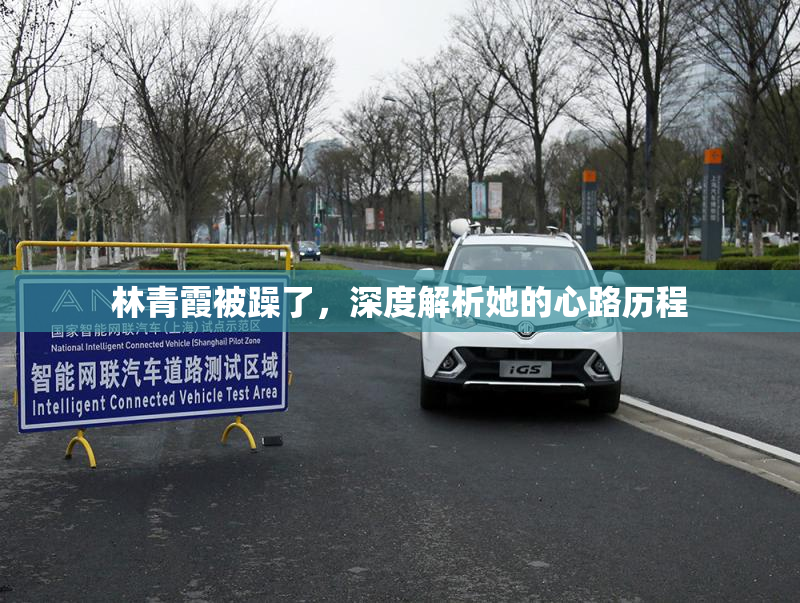 林青霞被躁了，深度解析她的心路历程