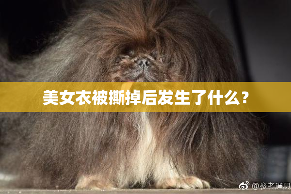 美女衣被撕掉后发生了什么？