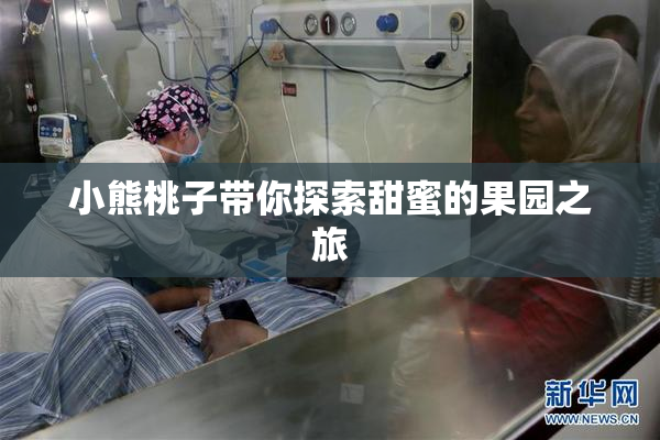 小熊桃子带你探索甜蜜的果园之旅