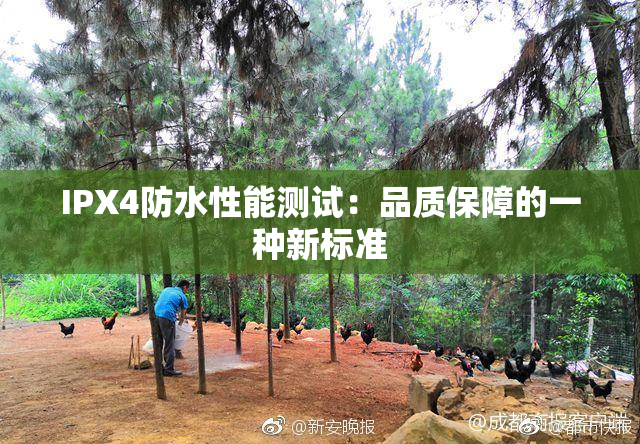IPX4防水性能测试：品质保障的一种新标准