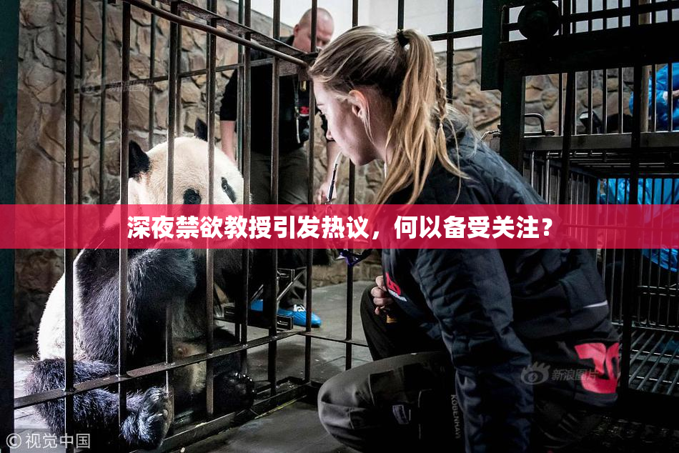 深夜禁欲教授引发热议，何以备受关注？