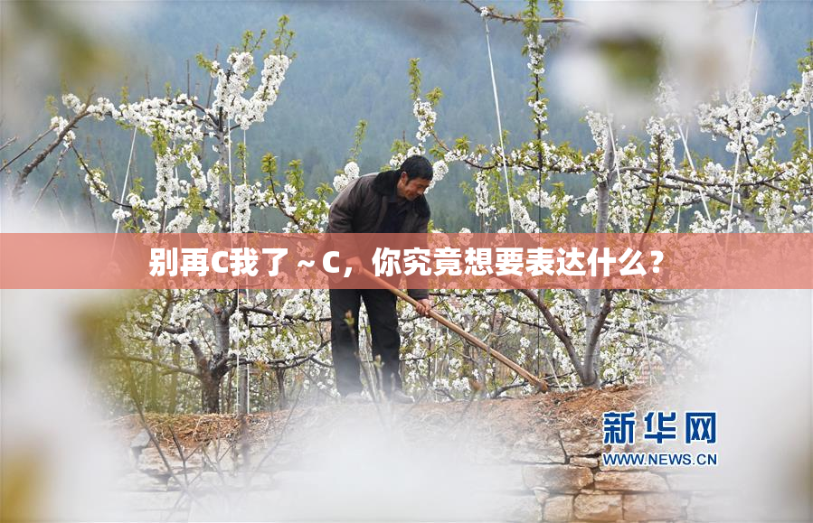 别再C我了～C，你究竟想要表达什么？