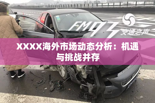 XXXX海外市场动态分析：机遇与挑战并存