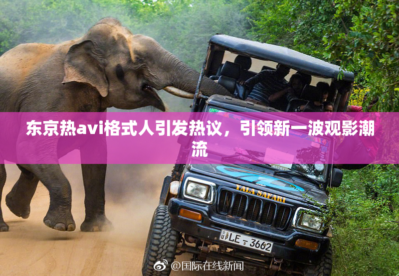 东京热avi格式人引发热议，引领新一波观影潮流