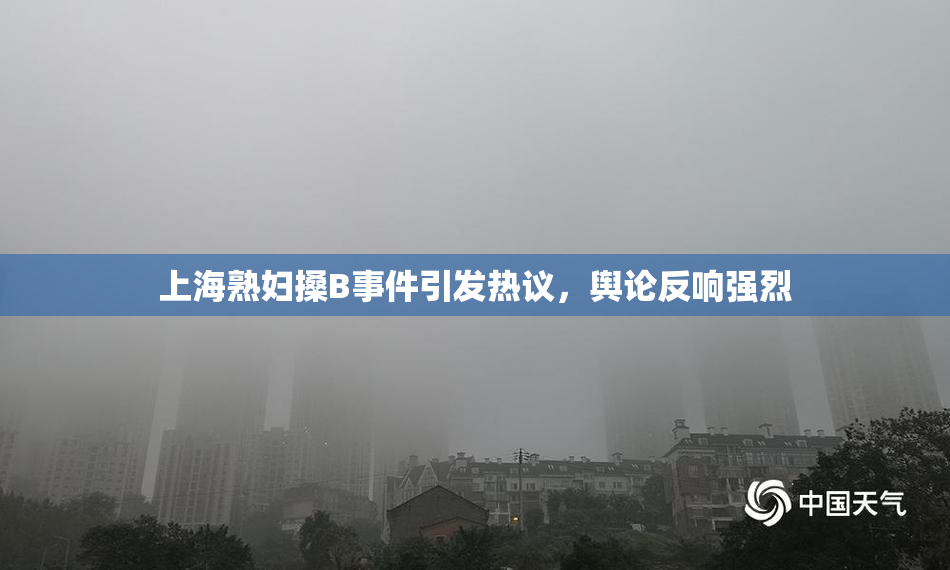 上海熟妇搡B事件引发热议，舆论反响强烈