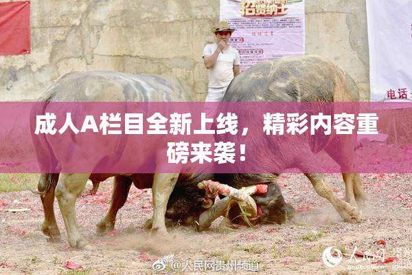 成人A栏目全新上线，精彩内容重磅来袭！