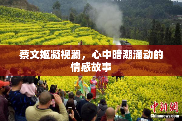 蔡文姬凝视澜，心中暗潮涌动的情感故事