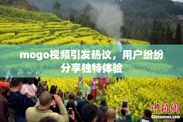 mogo视频引发热议，用户纷纷分享独特体验