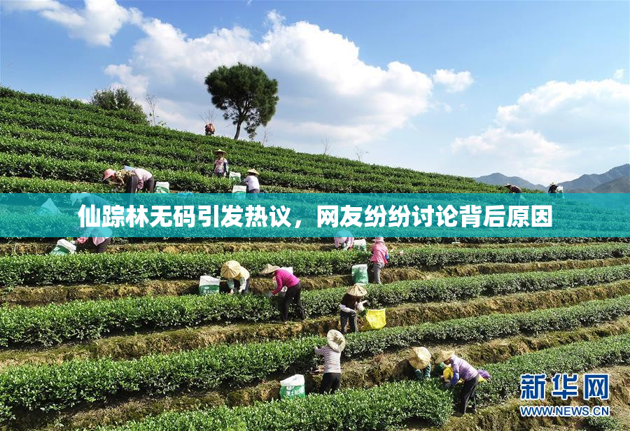 仙踪林无码引发热议，网友纷纷讨论背后原因