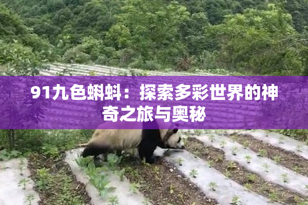 91九色蝌蚪：探索多彩世界的神奇之旅与奥秘