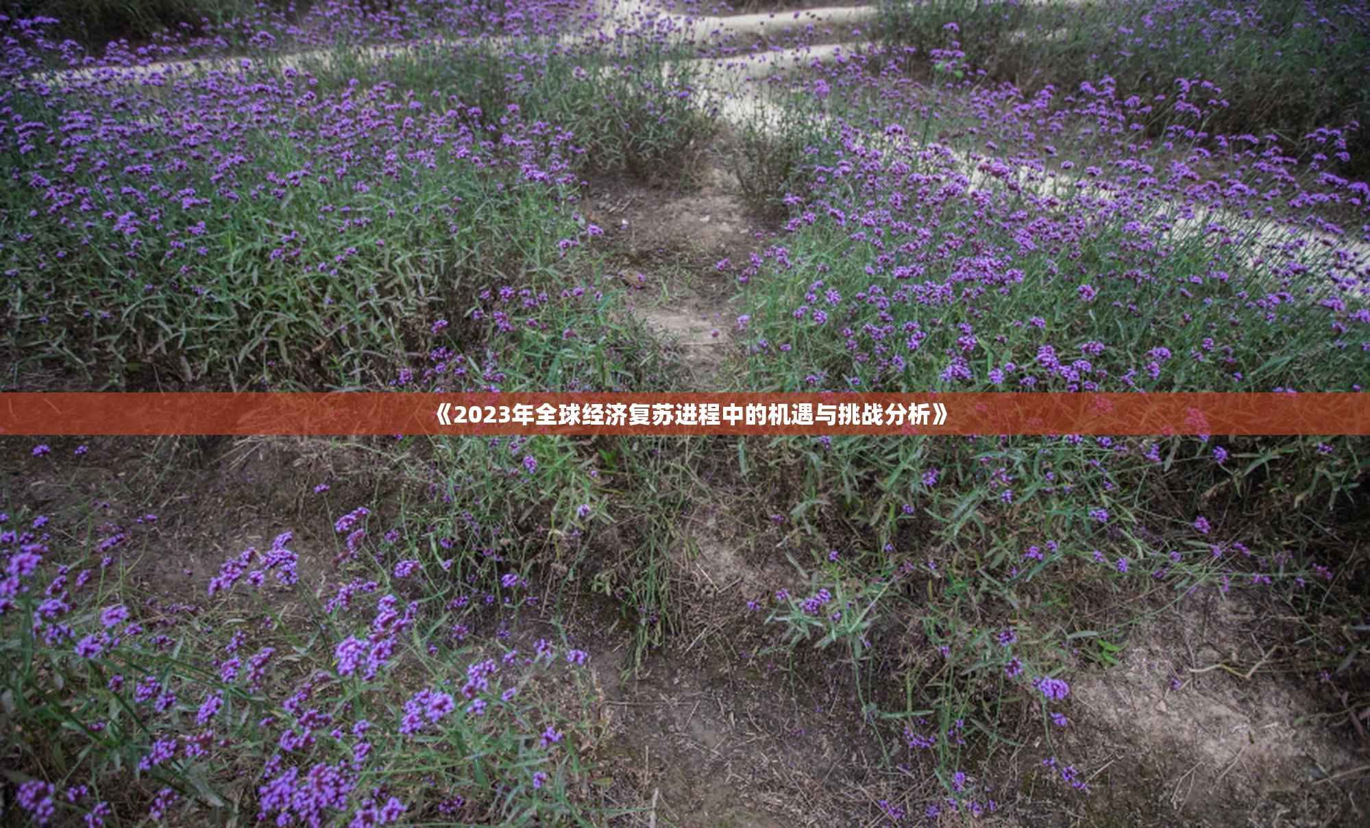 《2023年全球经济复苏进程中的机遇与挑战分析》