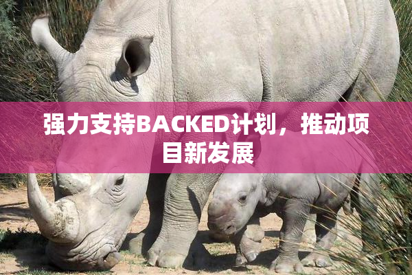 强力支持BACKED计划，推动项目新发展