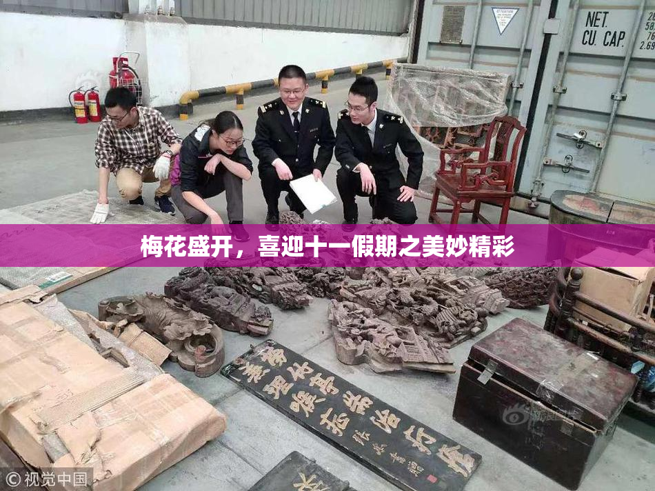 梅花盛开，喜迎十一假期之美妙精彩