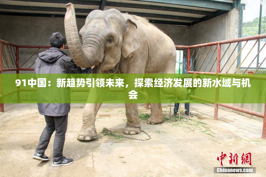 91中国：新趋势引领未来，探索经济发展的新水域与机会
