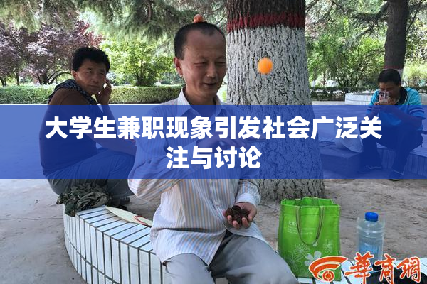 大学生兼职现象引发社会广泛关注与讨论