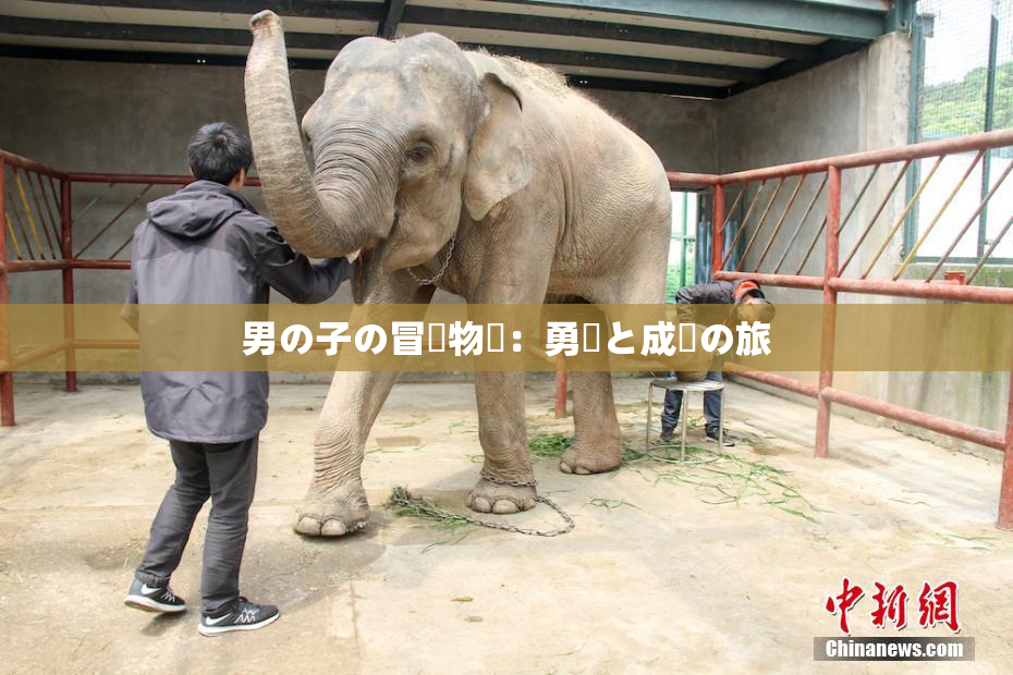 男の子の冒険物語：勇気と成長の旅