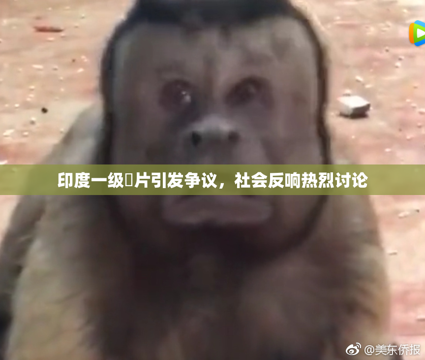 印度一级婬片引发争议，社会反响热烈讨论