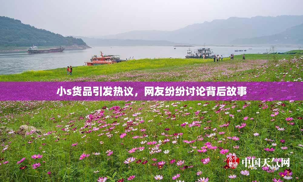 小s货品引发热议，网友纷纷讨论背后故事