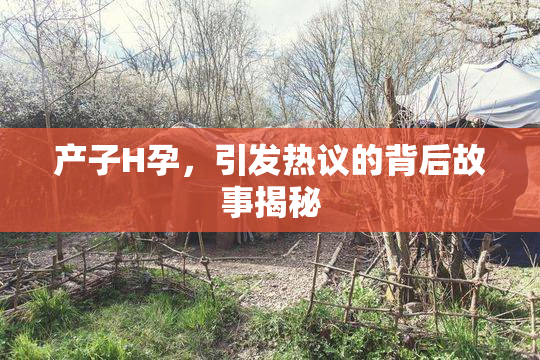 产子H孕，引发热议的背后故事揭秘