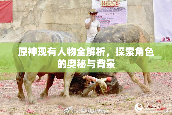 原神现有人物全解析，探索角色的奥秘与背景