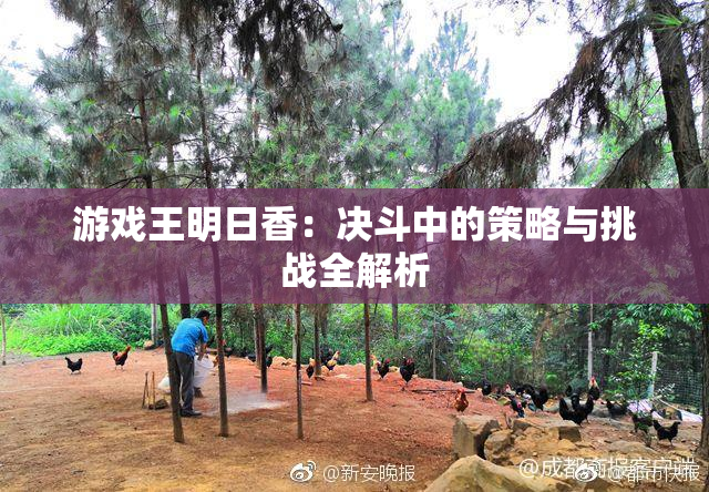 游戏王明日香：决斗中的策略与挑战全解析