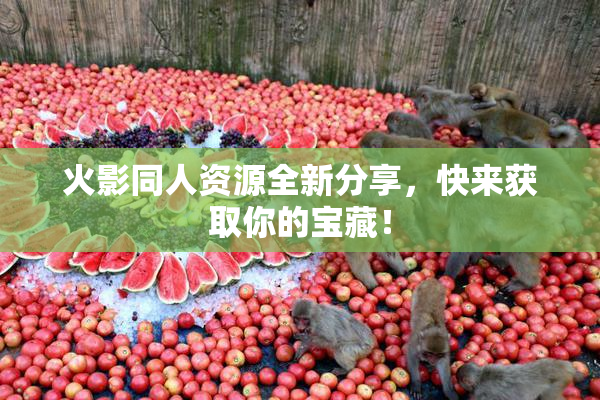 火影同人资源全新分享，快来获取你的宝藏！
