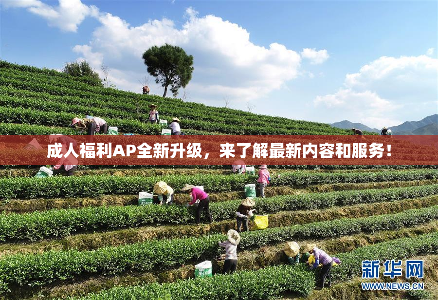 成人福利AP全新升级，来了解最新内容和服务！