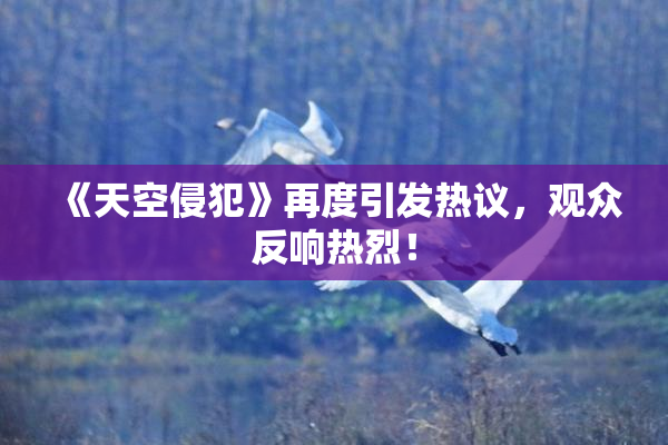 《天空侵犯》再度引发热议，观众反响热烈！