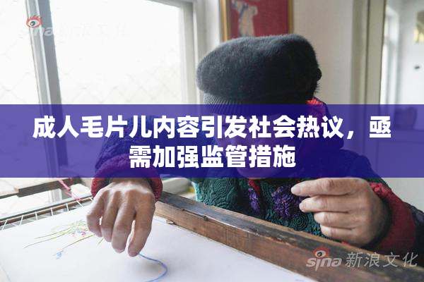 成人毛片儿内容引发社会热议，亟需加强监管措施