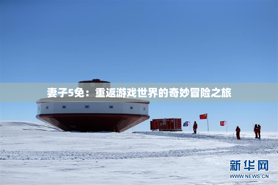 妻子5免：重返游戏世界的奇妙冒险之旅