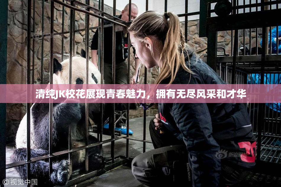 清纯JK校花展现青春魅力，拥有无尽风采和才华