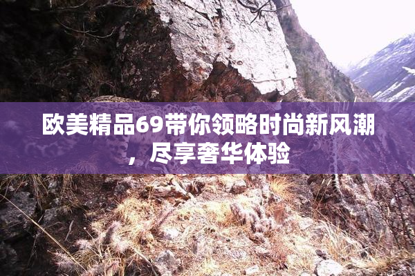 欧美精品69带你领略时尚新风潮，尽享奢华体验