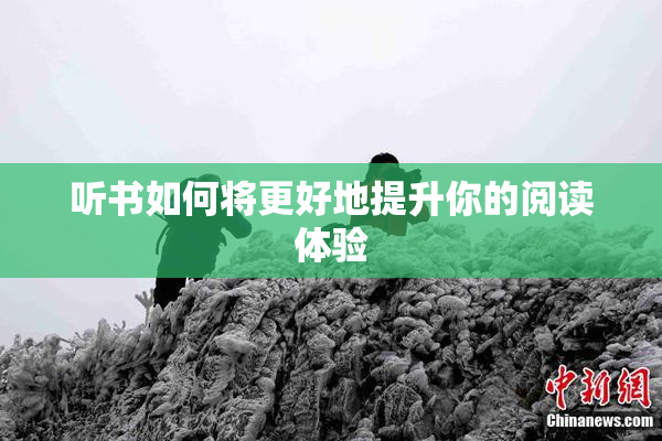听书如何将更好地提升你的阅读体验