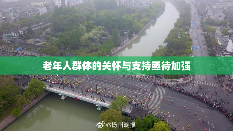老年人群体的关怀与支持亟待加强